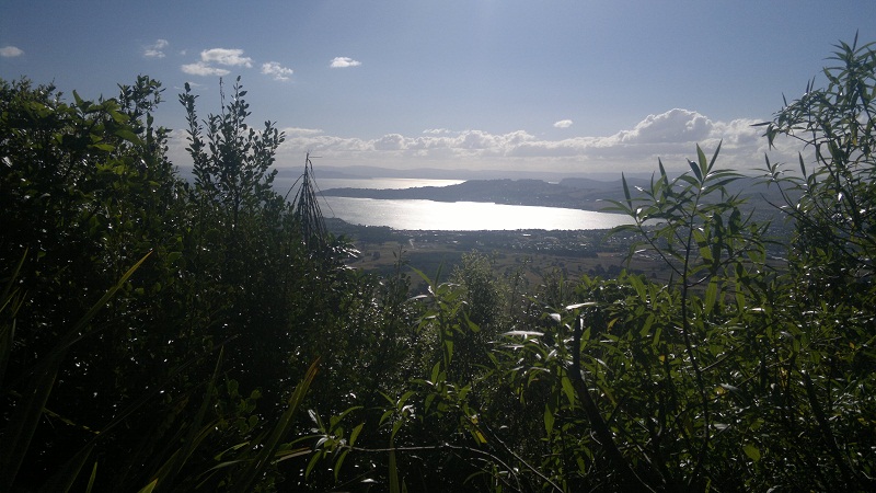 Lake Taupo1