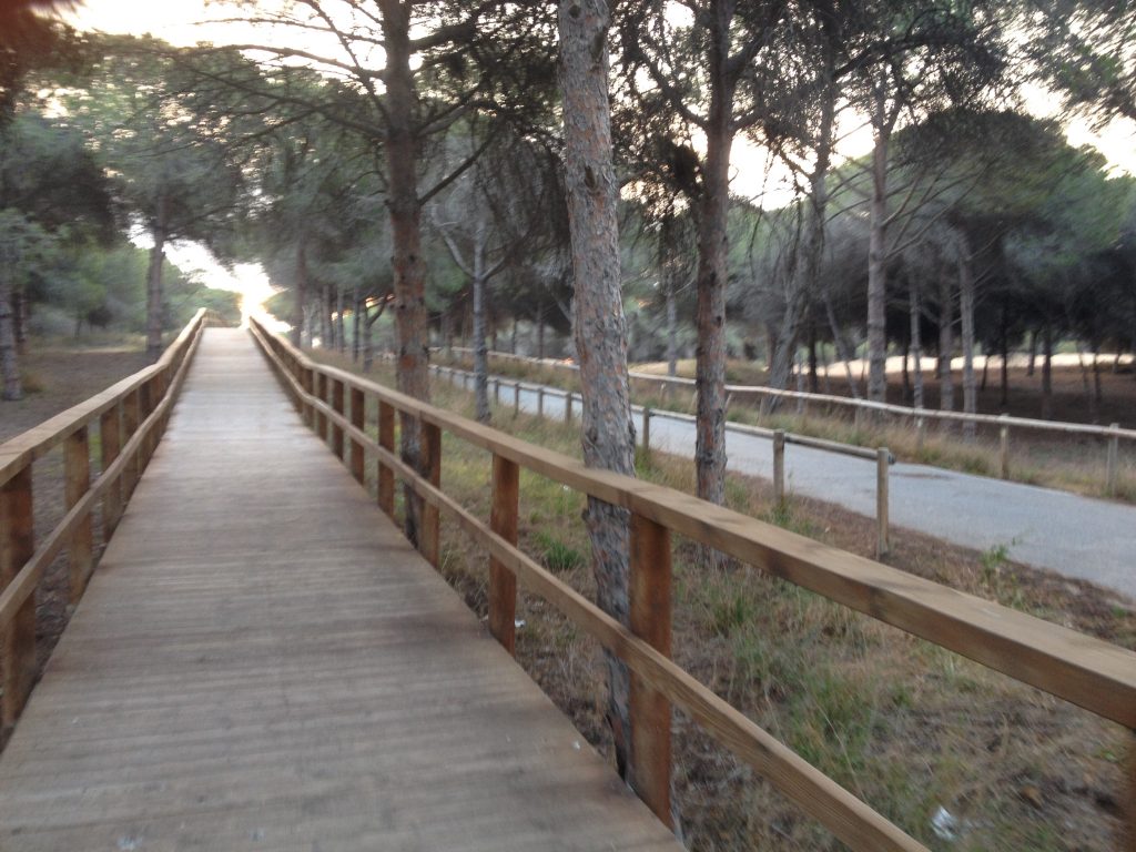 Aamulenkkimestat ja vieress&auml; treenimaastot